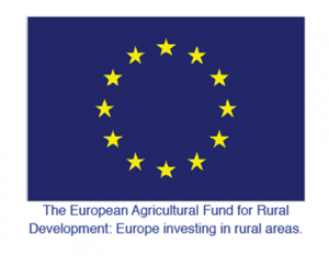 New funding to drive forward rural growth plans