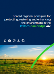 Front cover Environment Principles document. Picture of green park with sunset in backdrop.