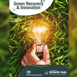 Green Recovery and Innovation Programme (GRIP)